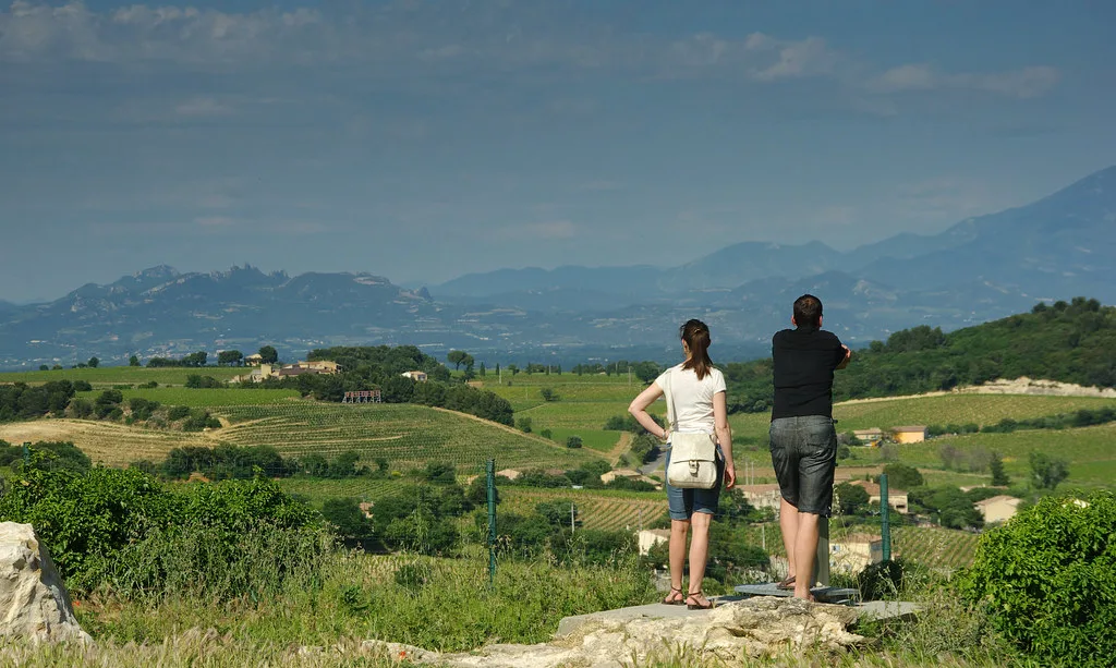 Looking over the vineyards of Châteauneuf-du-Pape