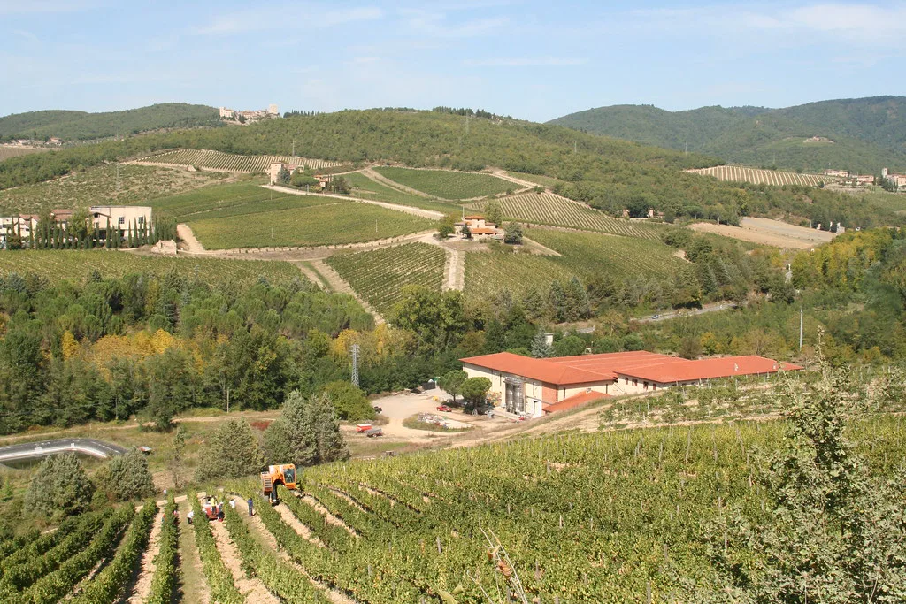 Chianti vineyards and winery