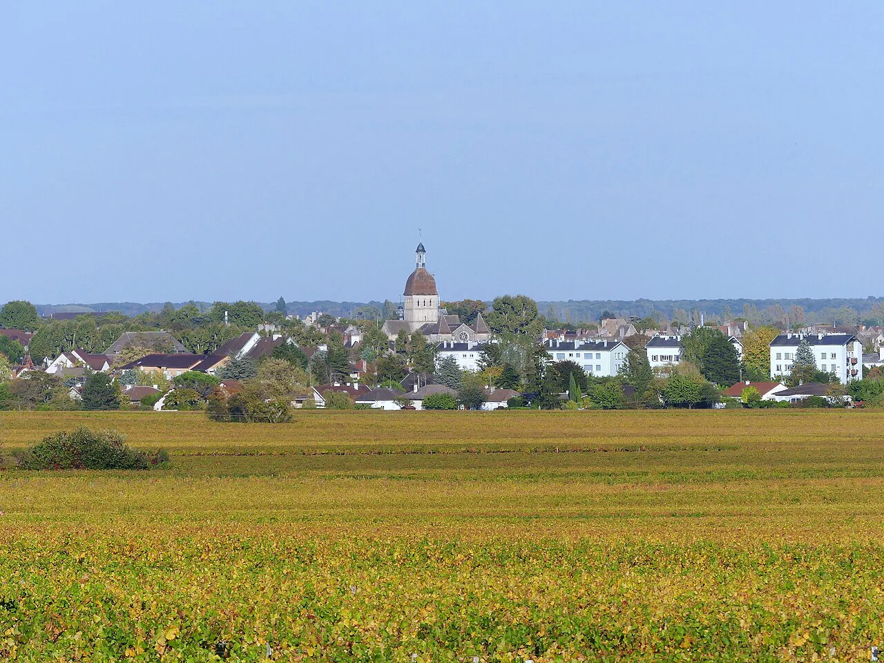 Beaune et vignobles en automne