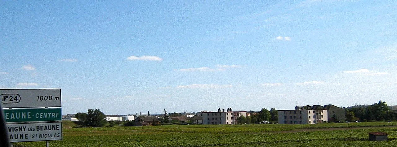 Beaune vineyards