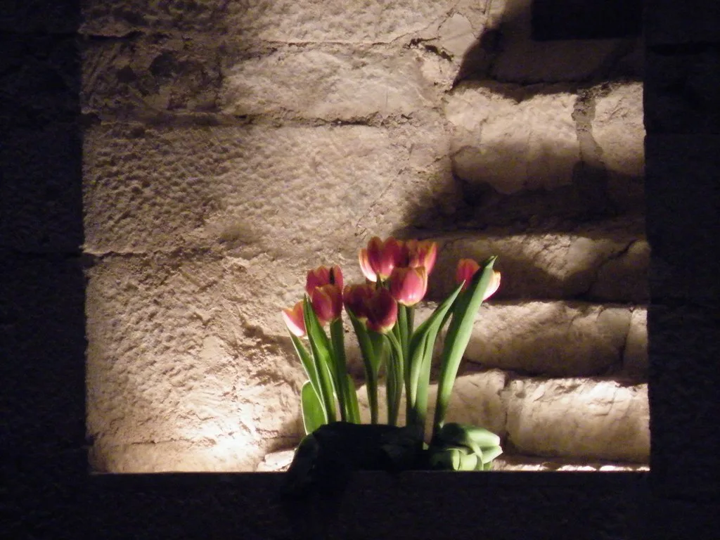 Château du Clos de Vougeot