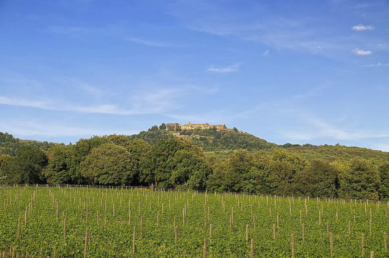 Vines below the hill village of Sant'Angelo in Colle, south of Montalcino