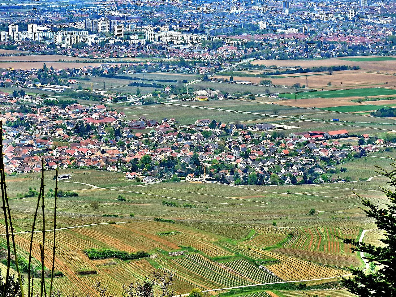 Wettolsheim, et Colmar, vus des trois châteaux