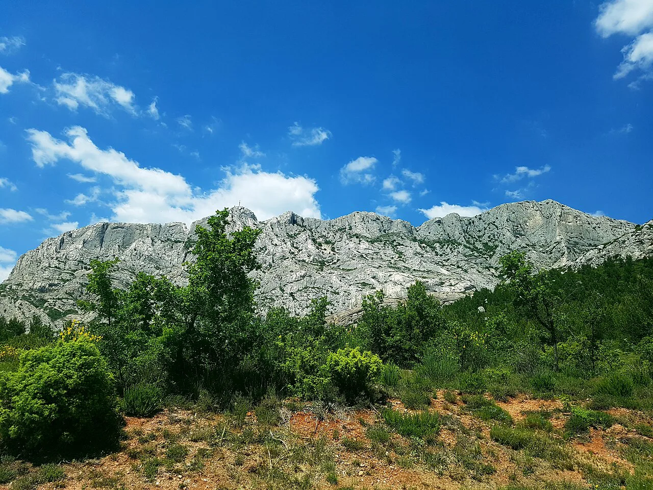 Montagne Sainte-Victoire above the forest east of Aix