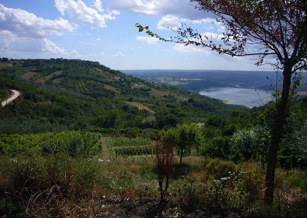 Hills along Lago di Corbara