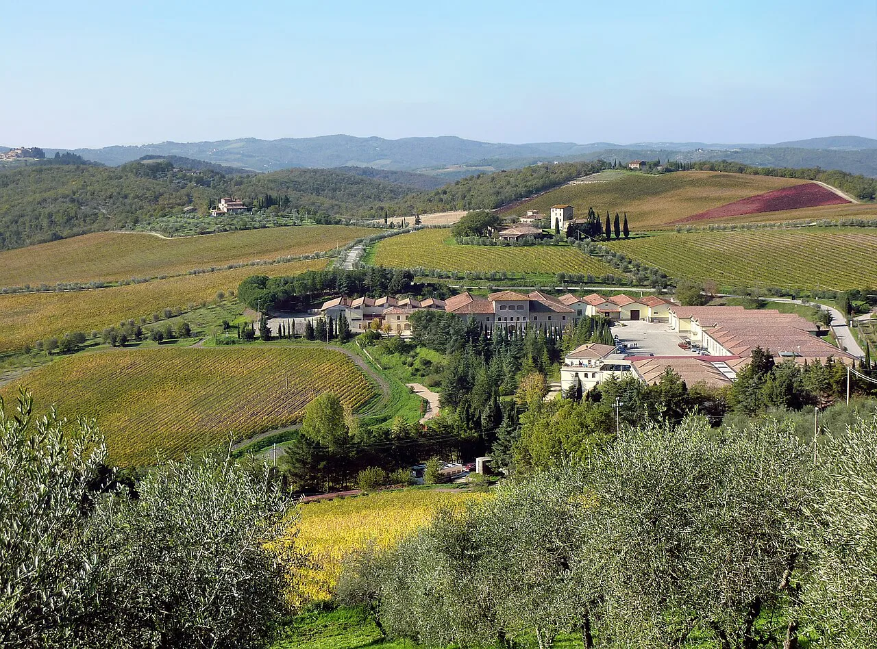 Wine estate in the Chianti region