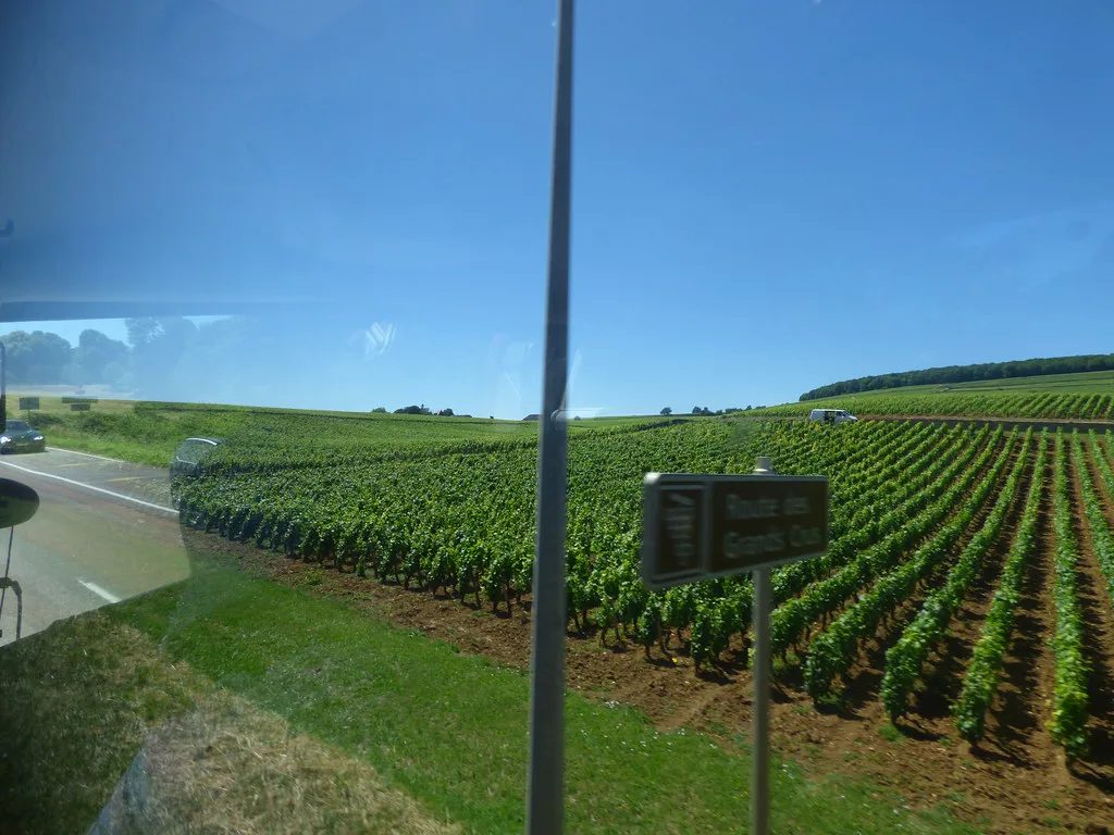 Route des Grands Crus - Route de Dijon - sign