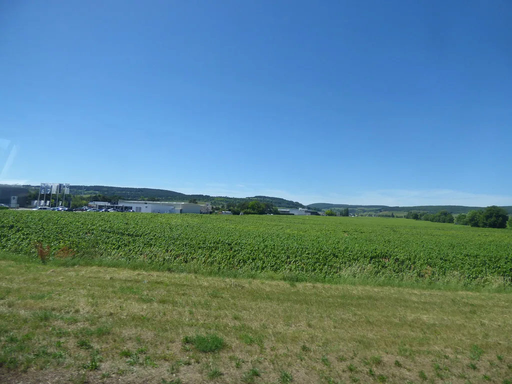 Route des Grands Crus - close to Beaune - Route de Dijon - BMW SAVY Beaune