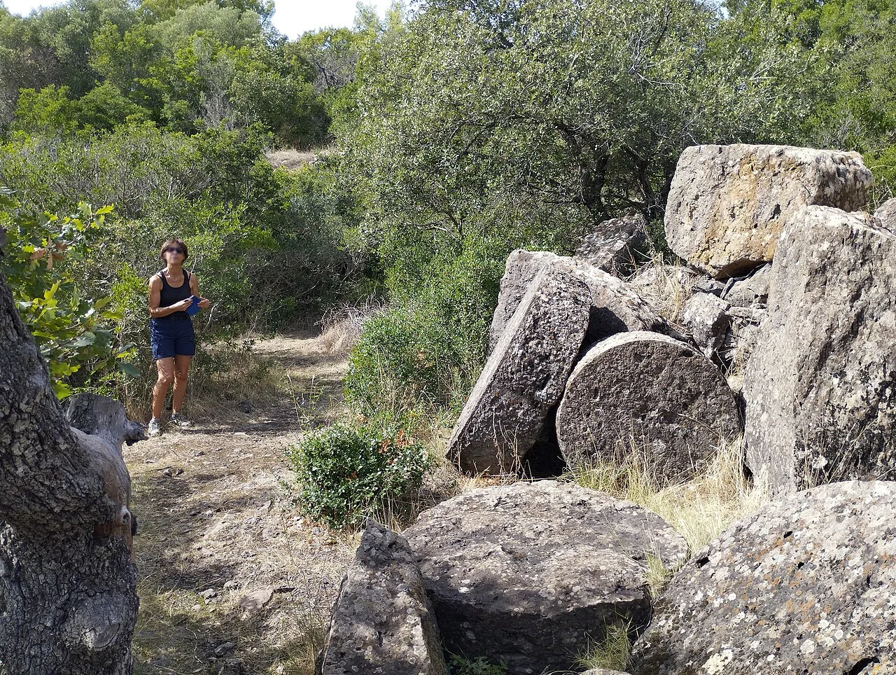 Rocks at the old millstone quarry in Ollioules