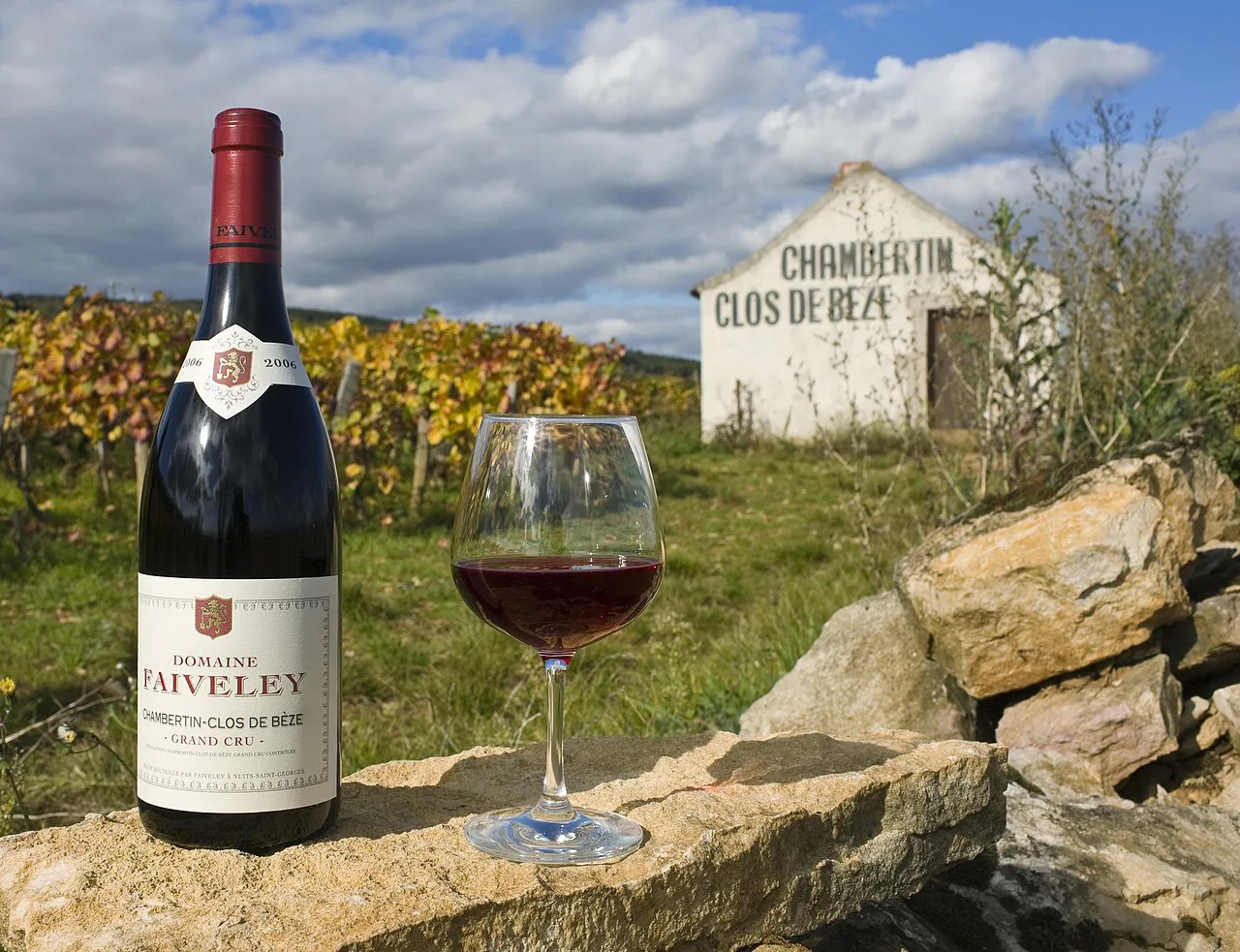 Chambertin Clos de Bèze vines, Gevrey-Chambertin