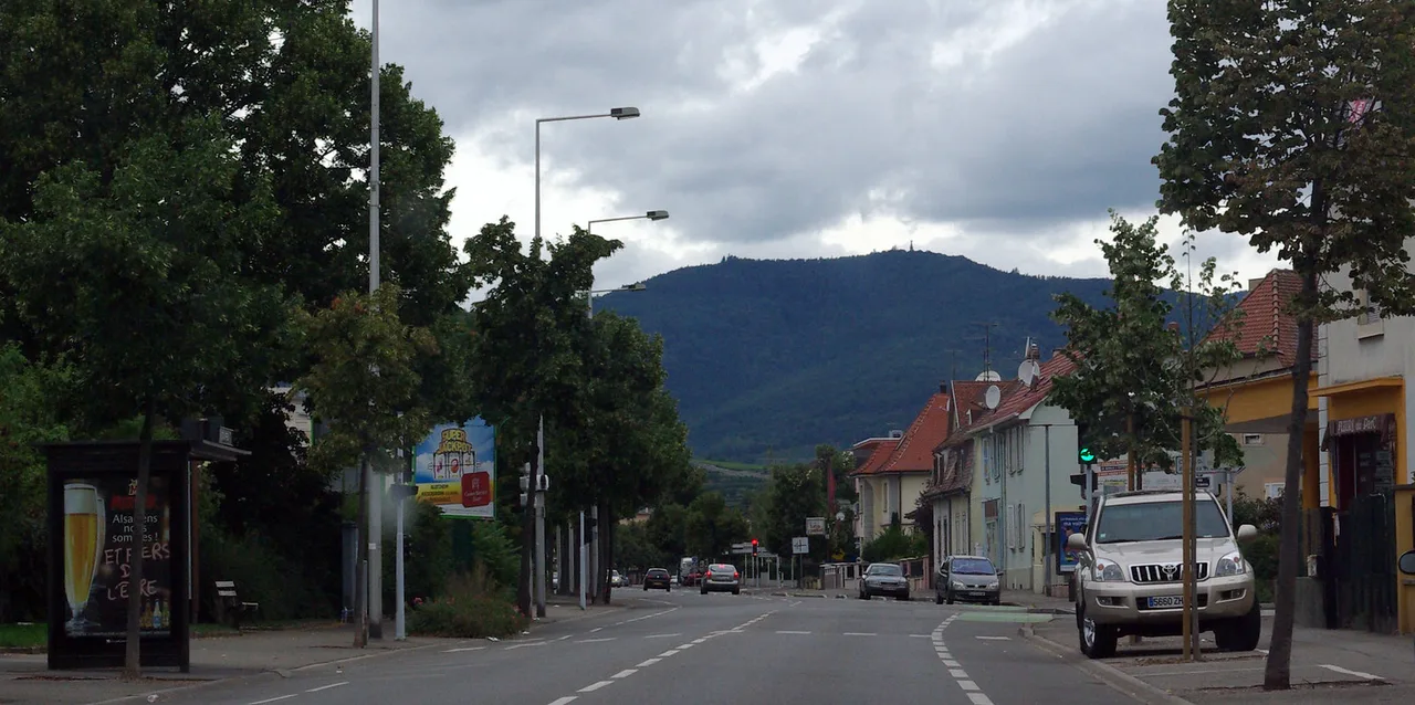 From Colmar to the Wine Road