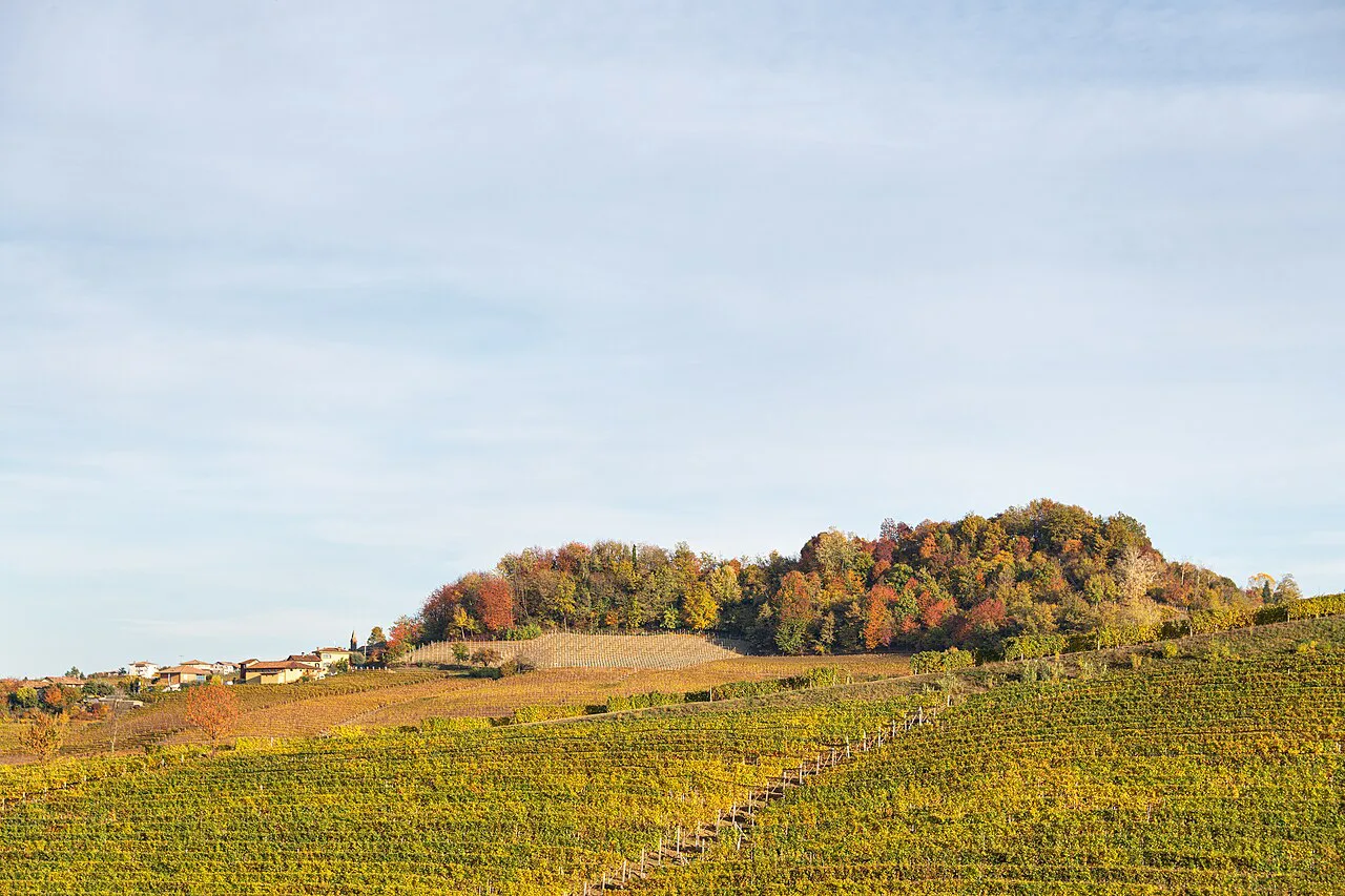 Vineyards in Barolo in autumn