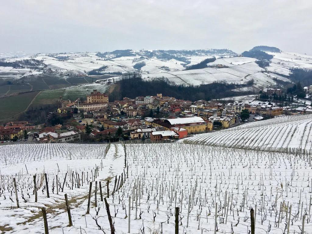 Snow on the vineyards around Barolo in the Langhe hills