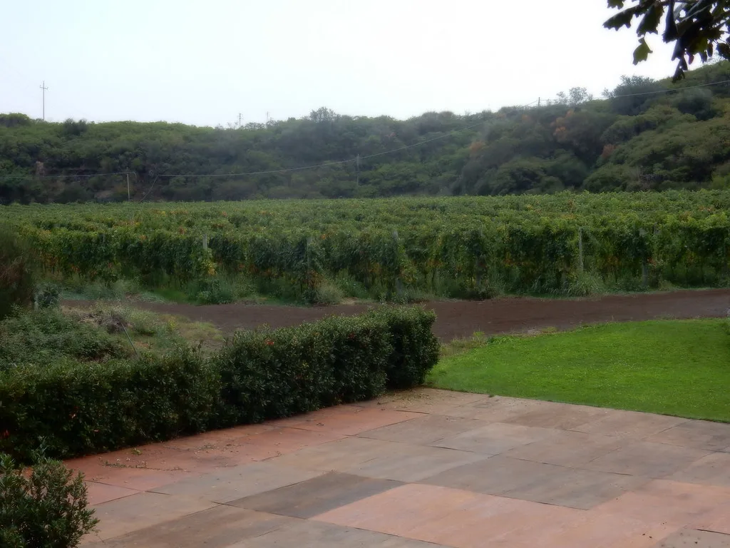 Patria winery on Mount Etna