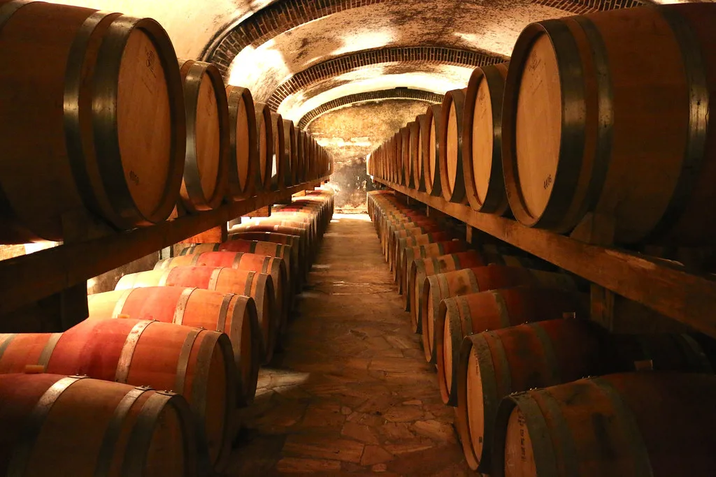 Barrels in the cellar at Fèlsina, Castelnuovo Berardenga