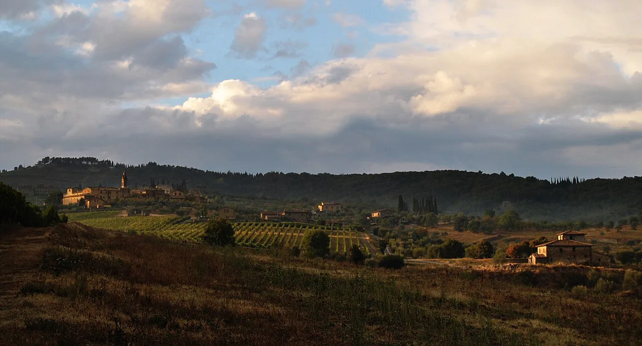 Vineyards around San Gusmè, near Castelnuovo Berardenga