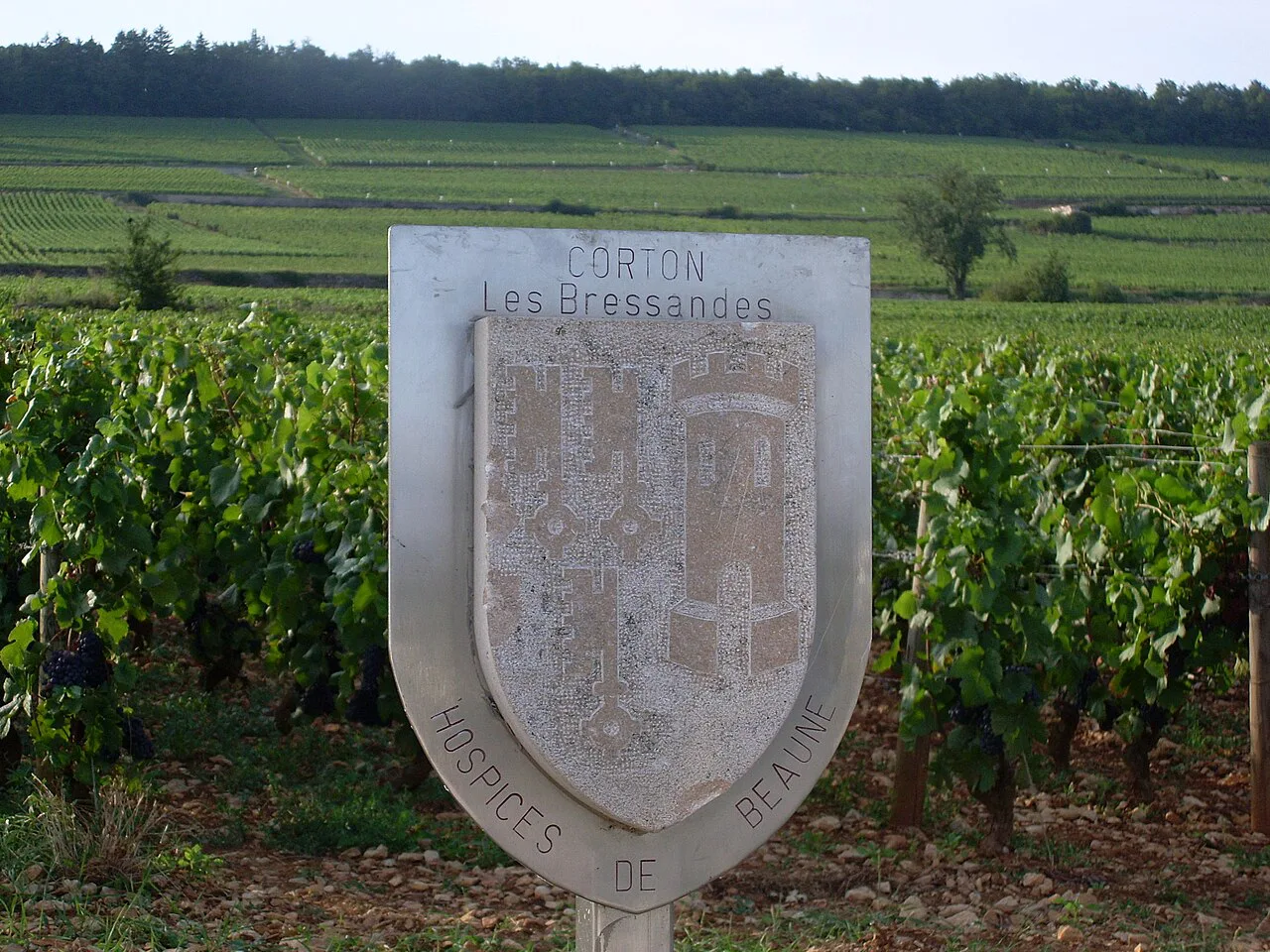 Hospices de Beaune Corton Bressandes Grand Cru