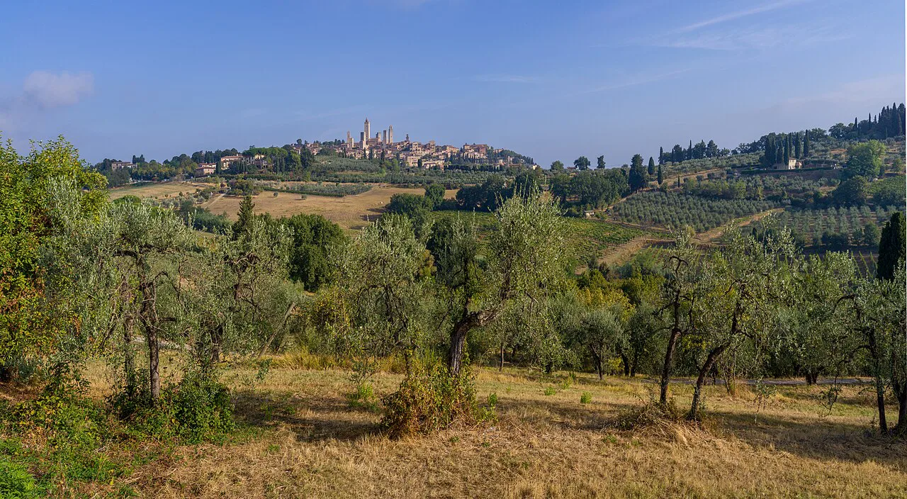 San Gimignano above its olive groves