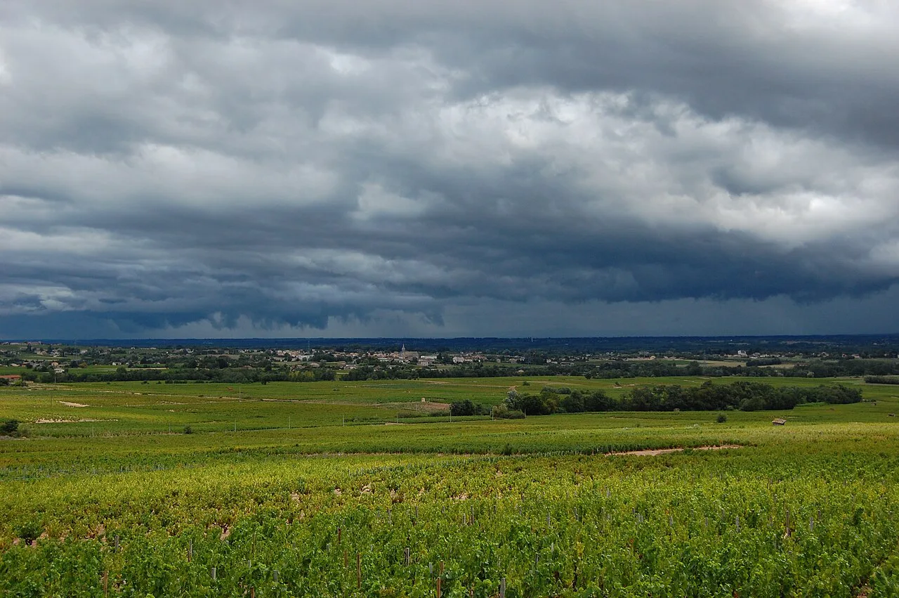 The Beaujolais vineyards under a stormy sky