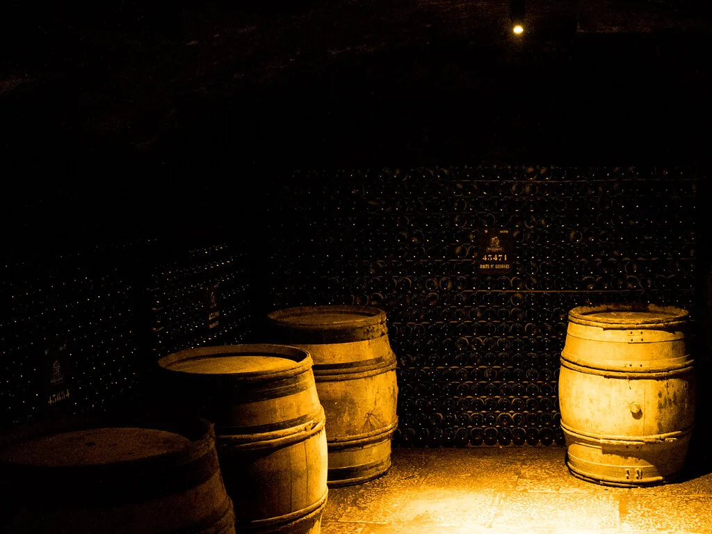 Grand cru vineyard near Beaune