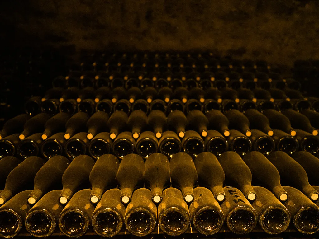 Grand cru vines near Beaune