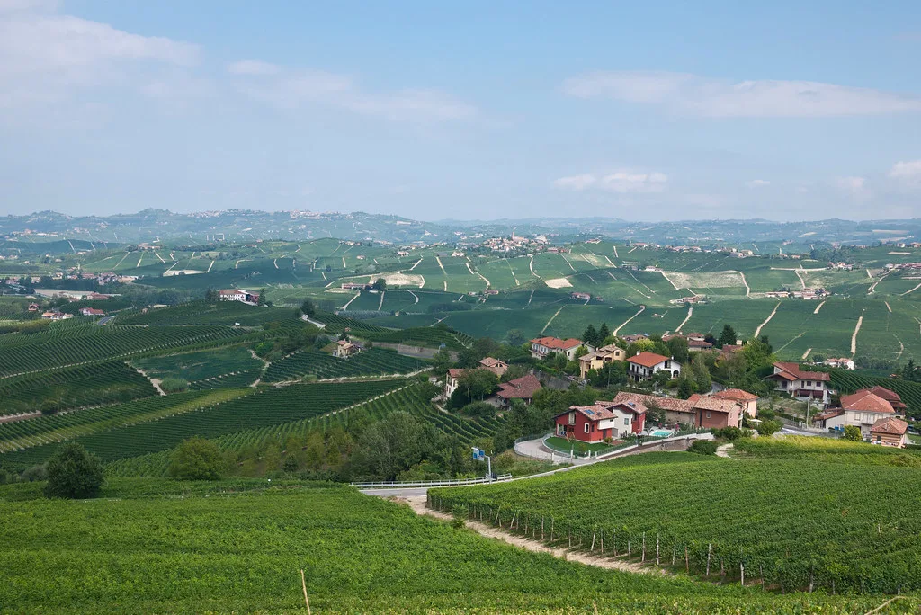 Vineyards around Barolo