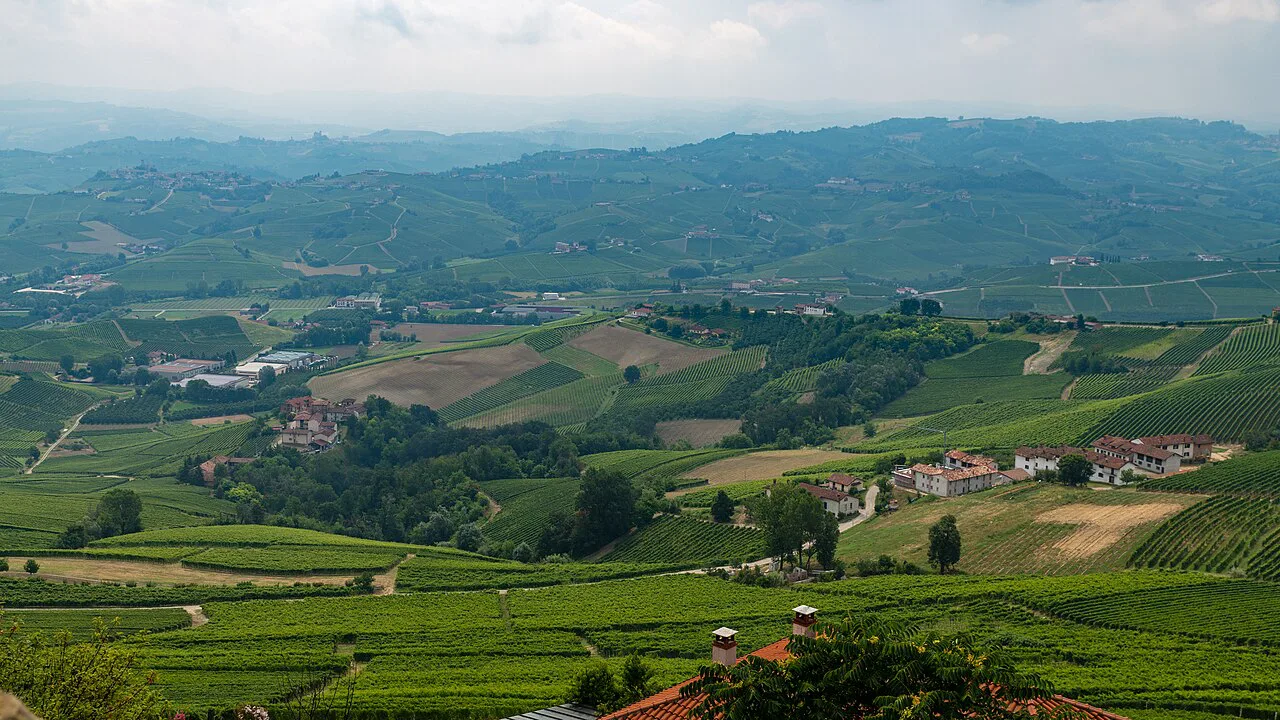 View from La Morra over the Barolo vineyards
