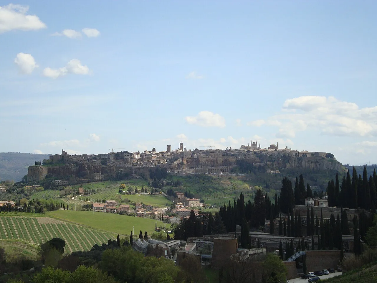 Orvieto on its tufa cliff above the vineyards