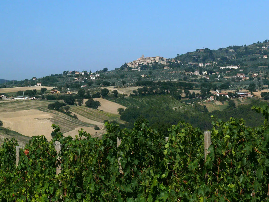 Gualdo Cattaneo above its vineyards, Umbria