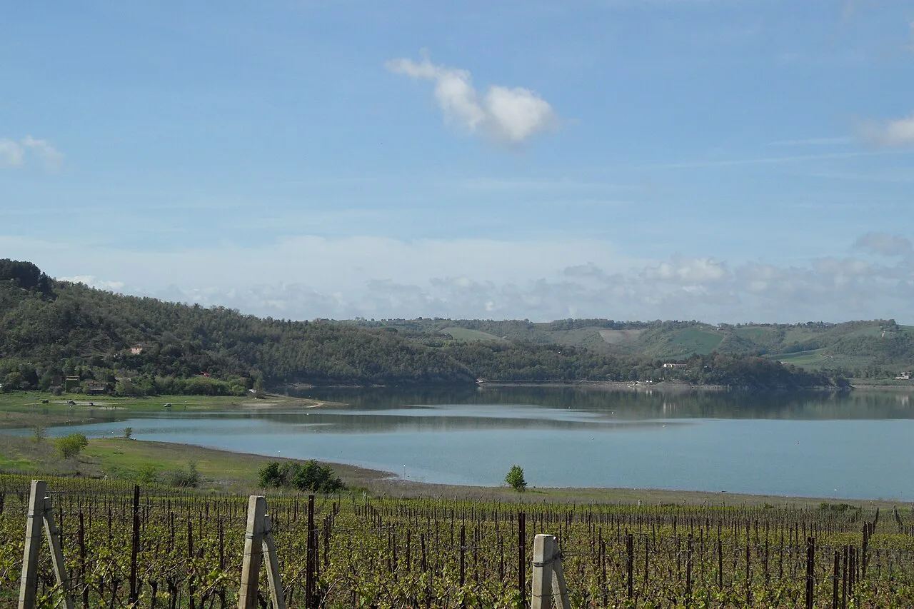 Vineyards above Lago di Corbara, Baschi
