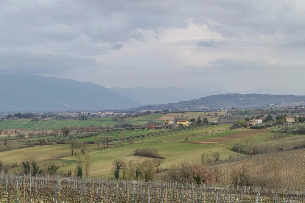 Umbrian countryside near Bevagna