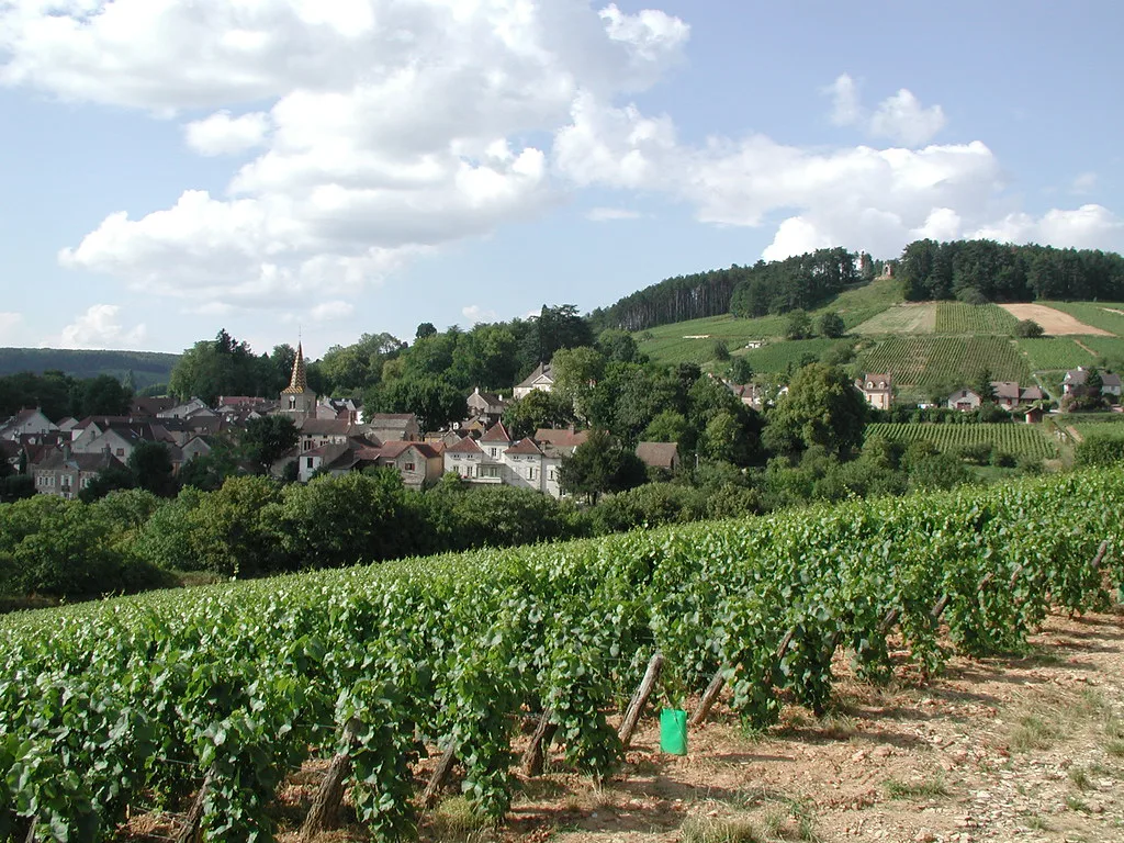 Pernand Vergelesses and the Cote de Beaune Vineyards
