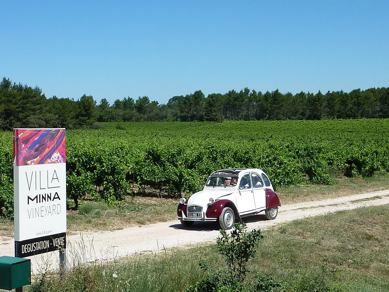 Coteaux d'Aix-en-Provence vineyard at Saint-Cannat