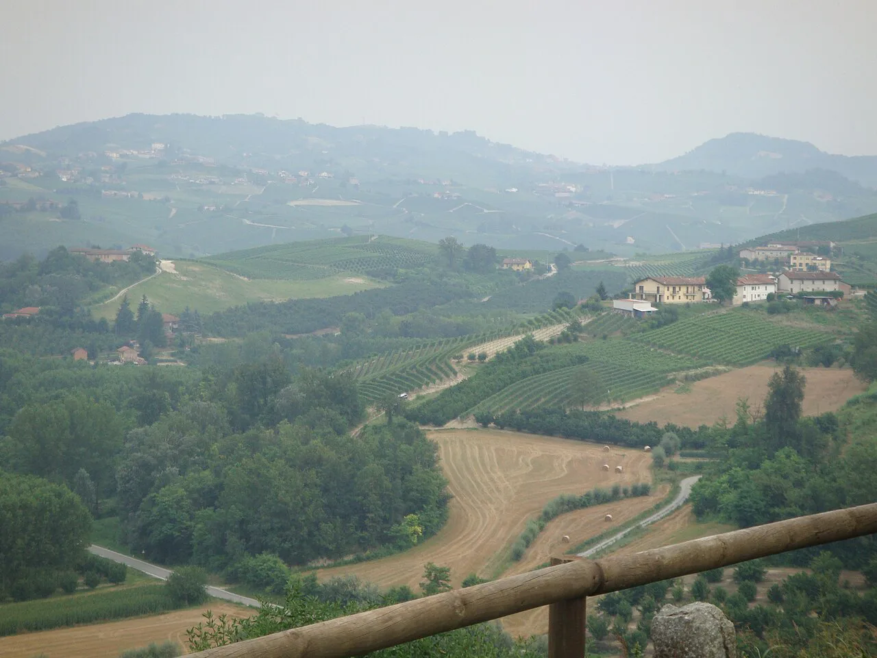 Vineyards around Alba