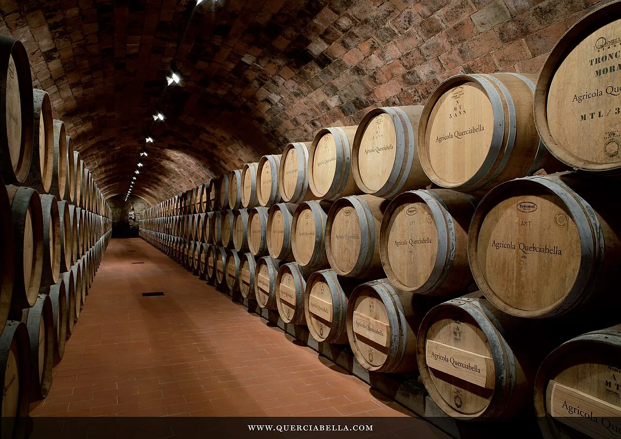 Barrique cellar at Querciabella, Greve in Chianti