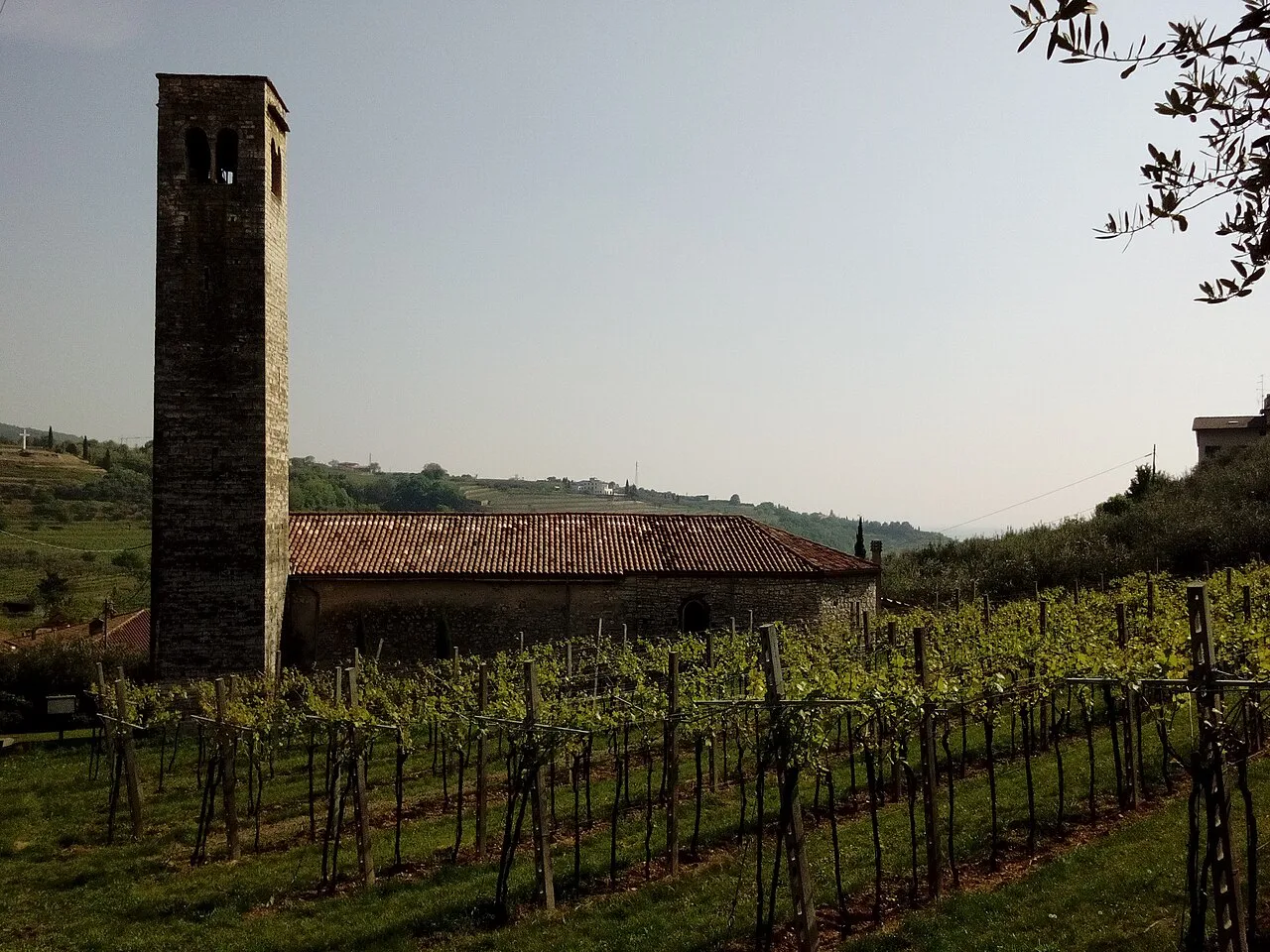 San Peretto church among vineyards, Negrar
