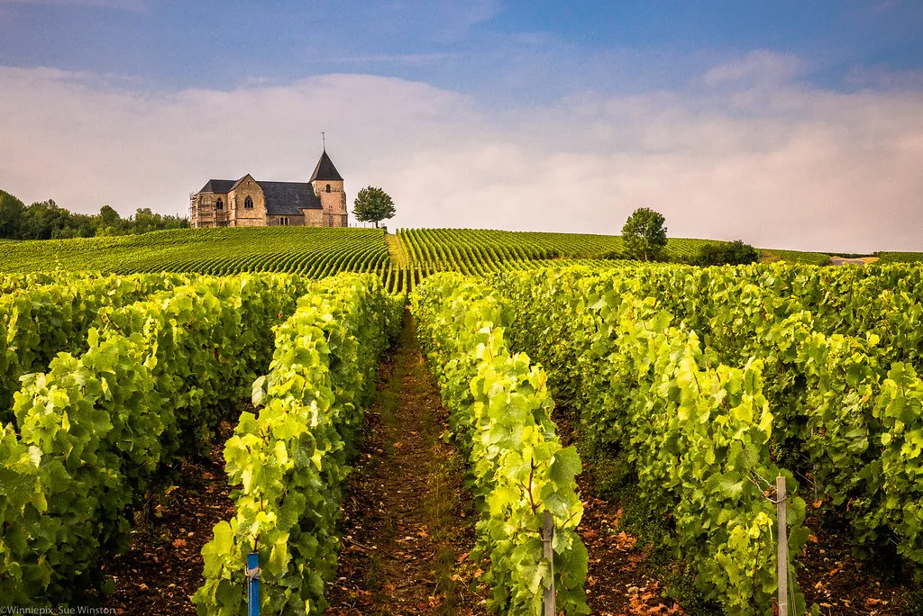 Église Saint-Martin de Chavot among the vines