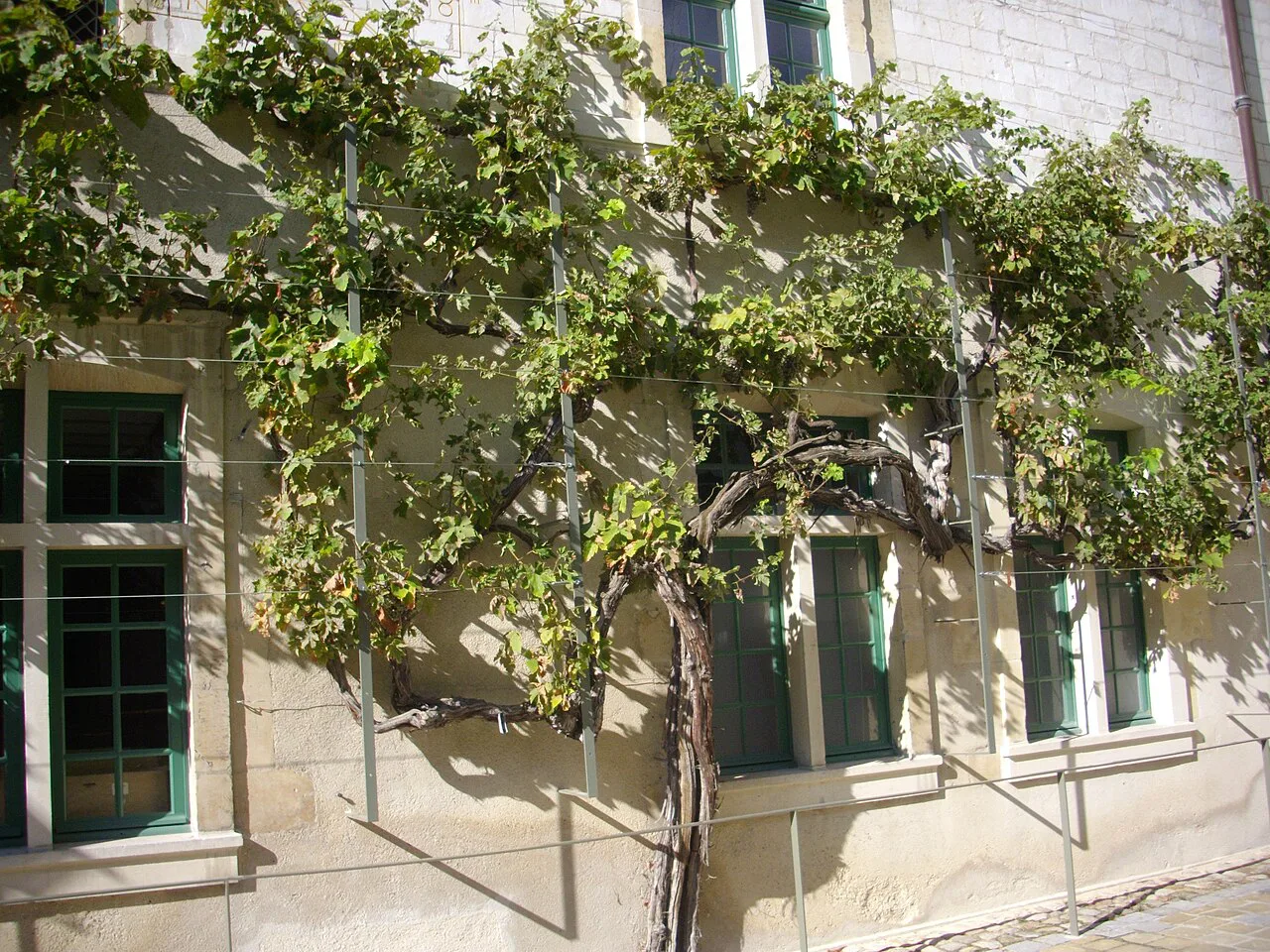 Reims - ancien collège des Jésuites, cour