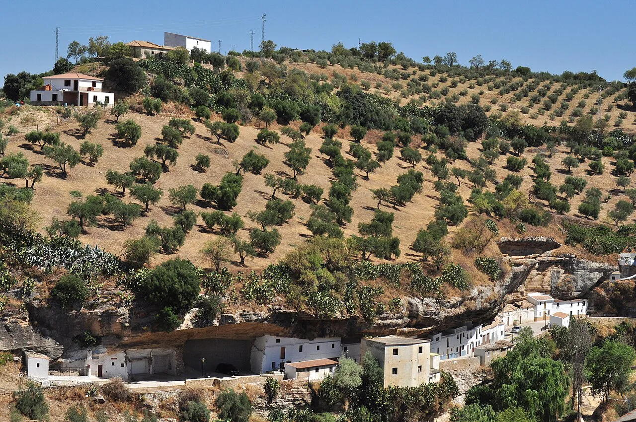 Olive groves above Setenil de las Bodegas, near Ronda