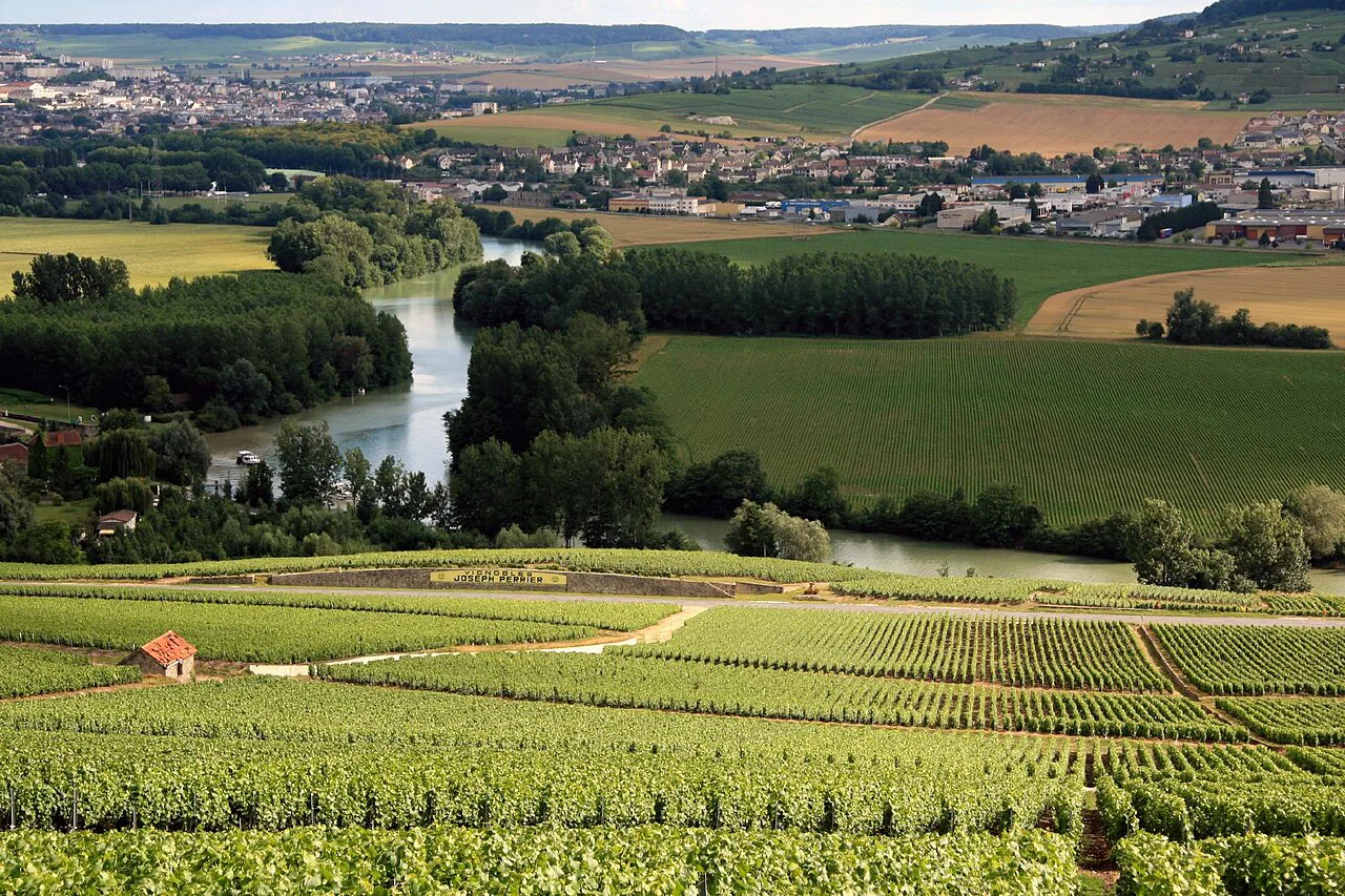 Champagne vineyards above the Marne valley