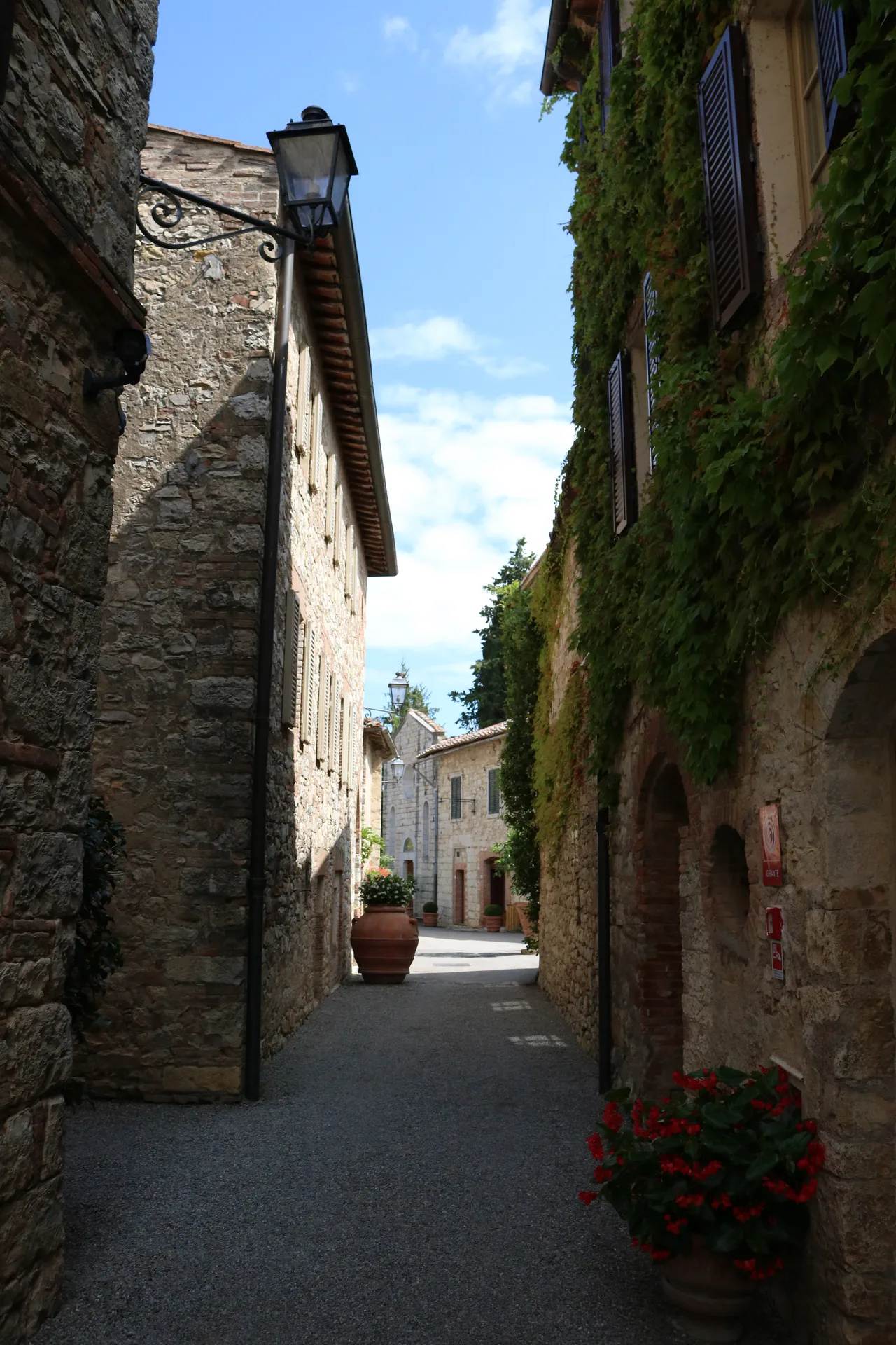 In and around the San Felice winery, Siena