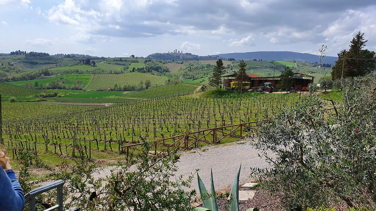 Remote view of San Gimignano