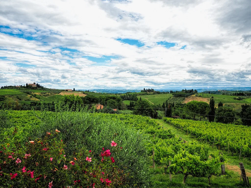 June 20th Toscana countryside from Sovestro in Poggio San Gimignano Italy
