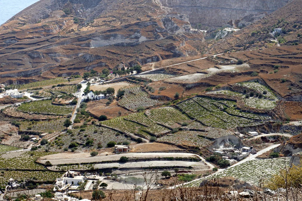 Vineyards outside Pyrgos, Santorini