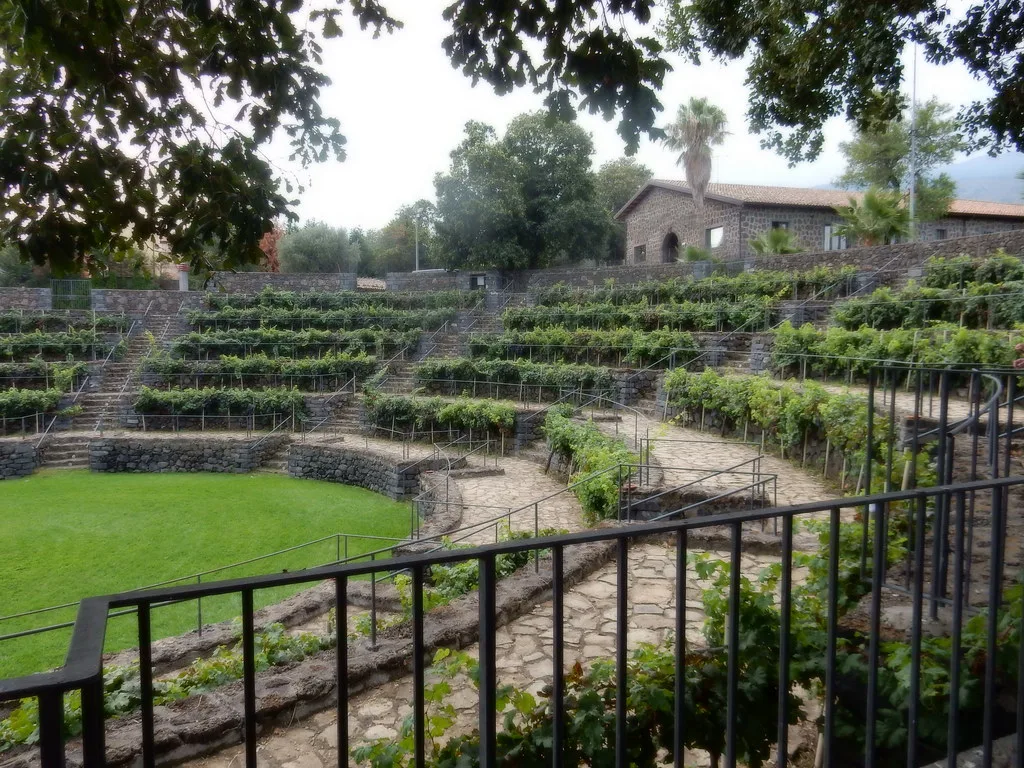 Patria winery at Solicchiata, Mount Etna