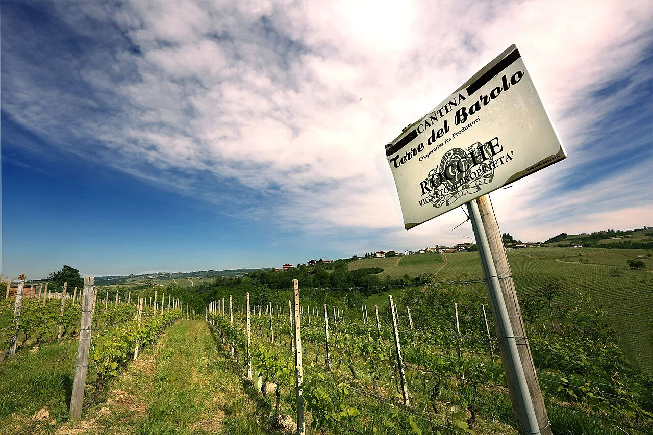 Vineyard sign in the Barolo hills