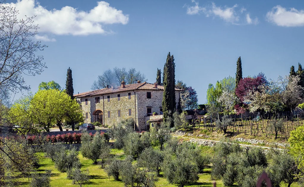 Olive Trees and Winery, Poggio Amorally, Chianti