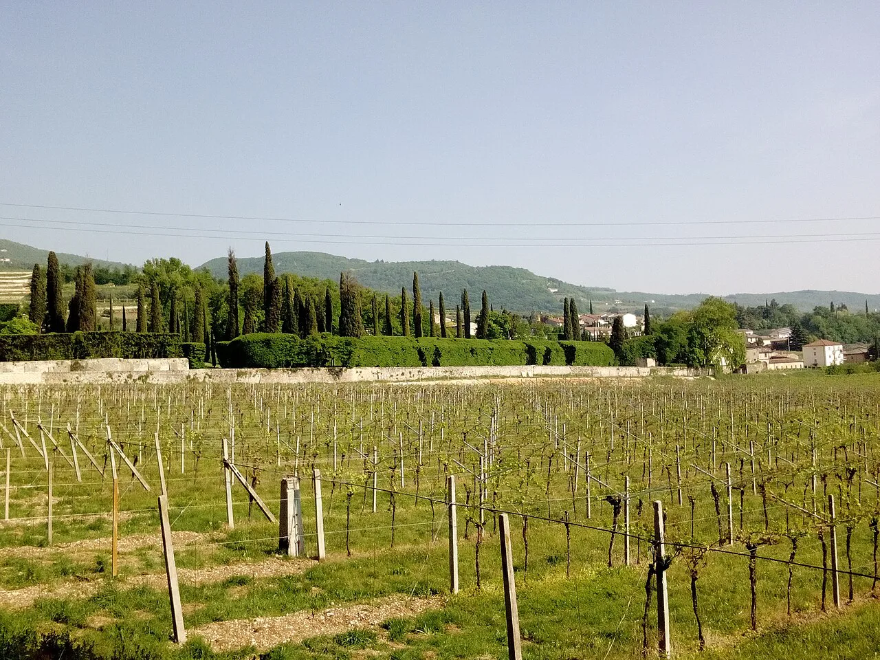 Countryside at Villa Rizzardi, Negrar
