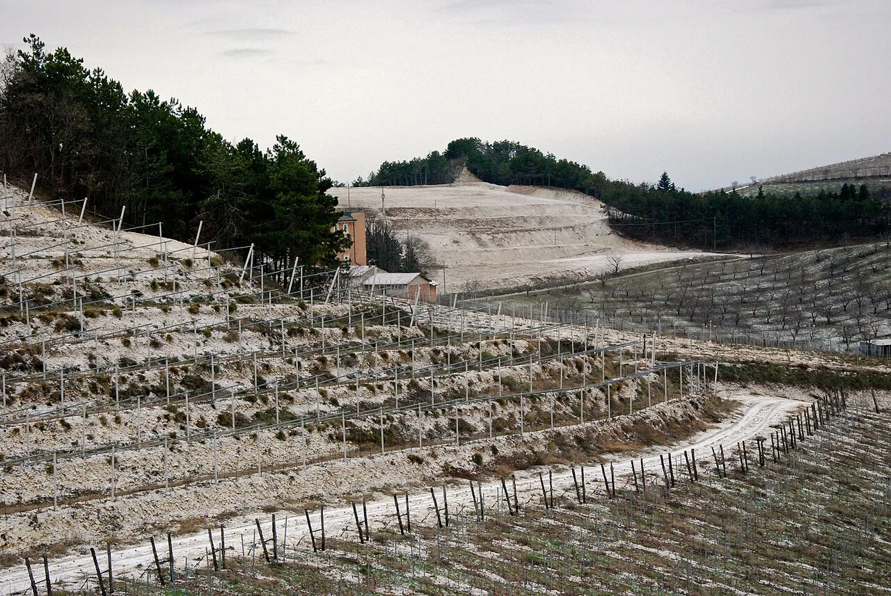 Terraced vineyards in Valpolicella