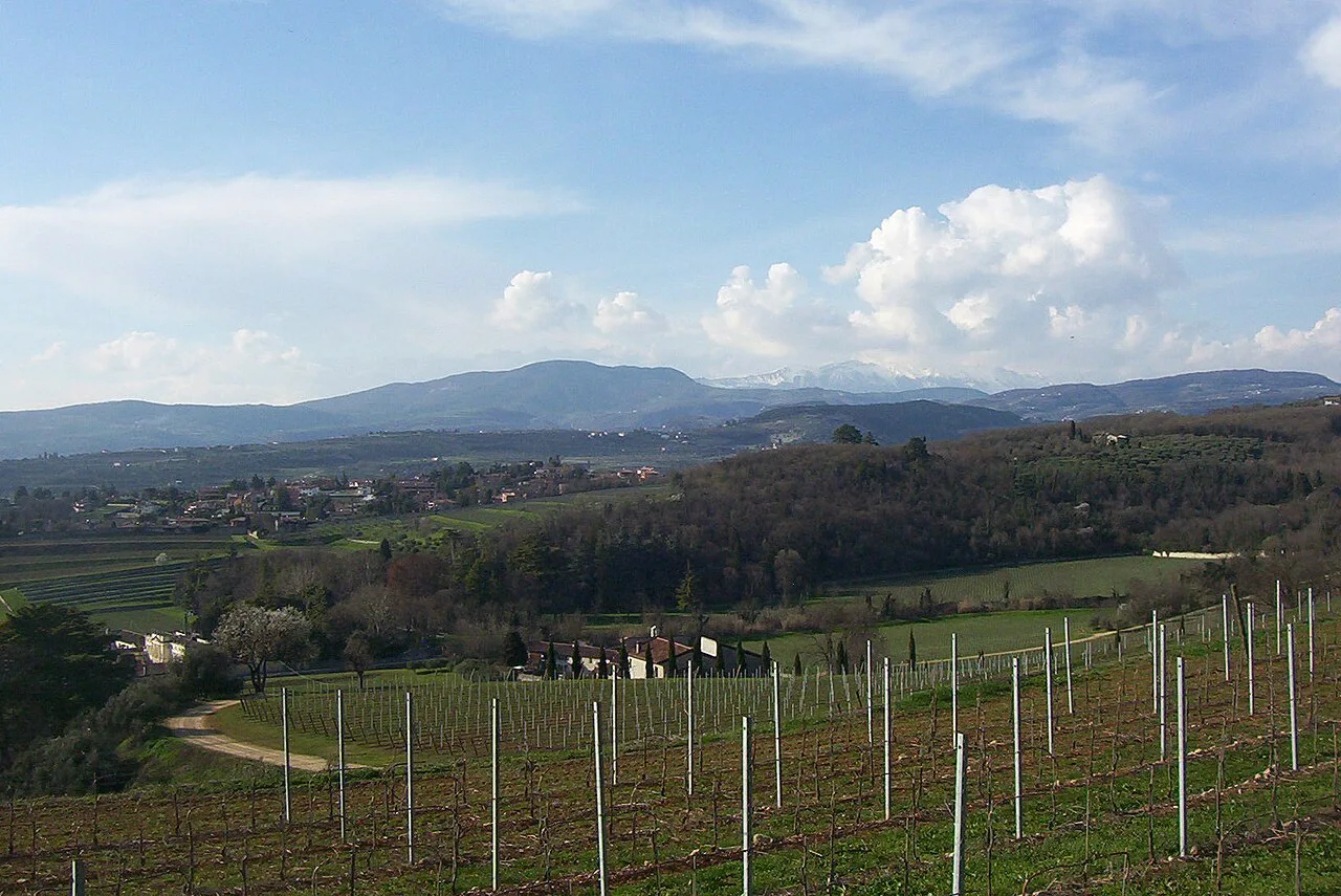 View over Valpolicella